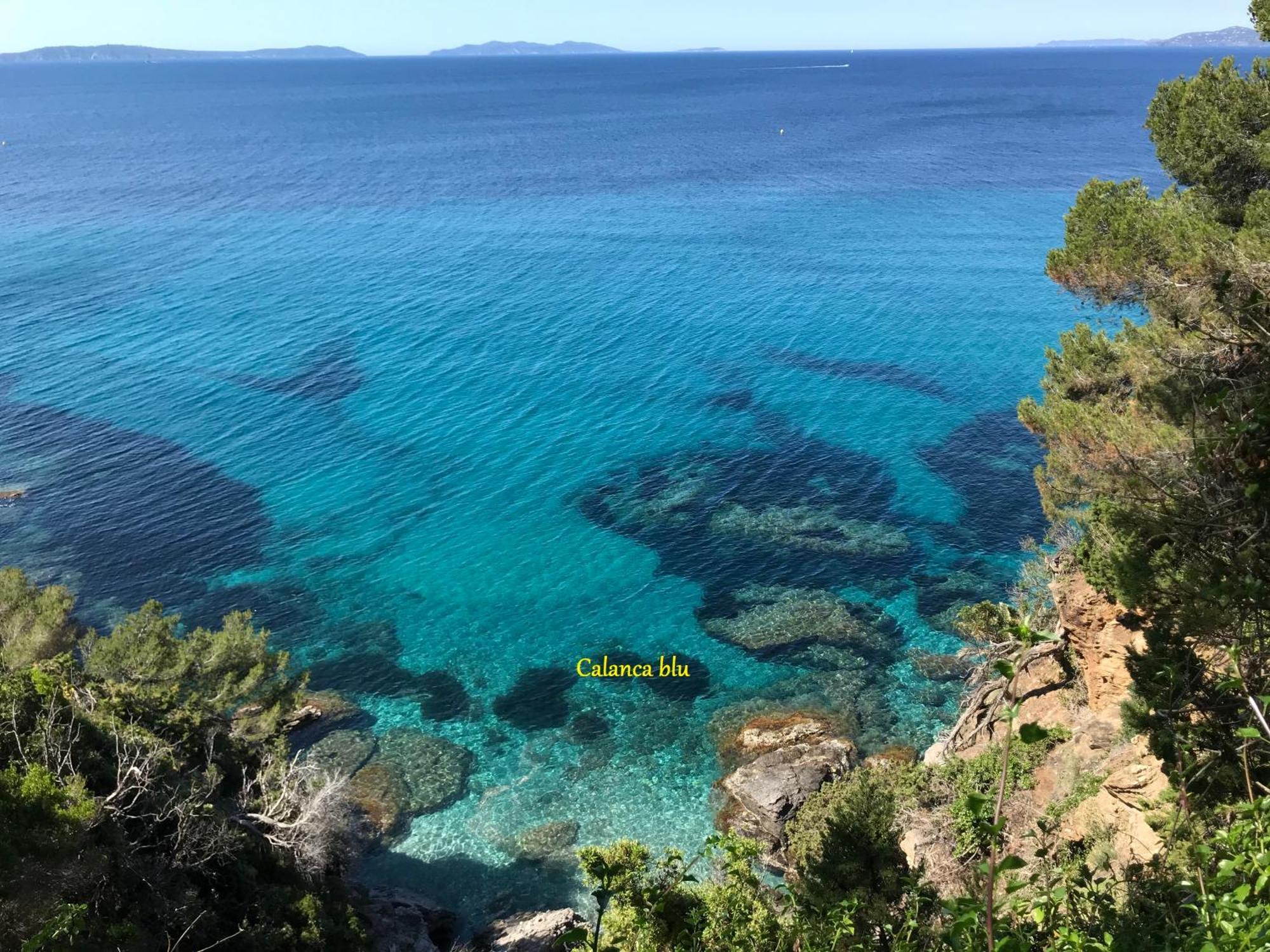Calanca Blu : Grand Appartement