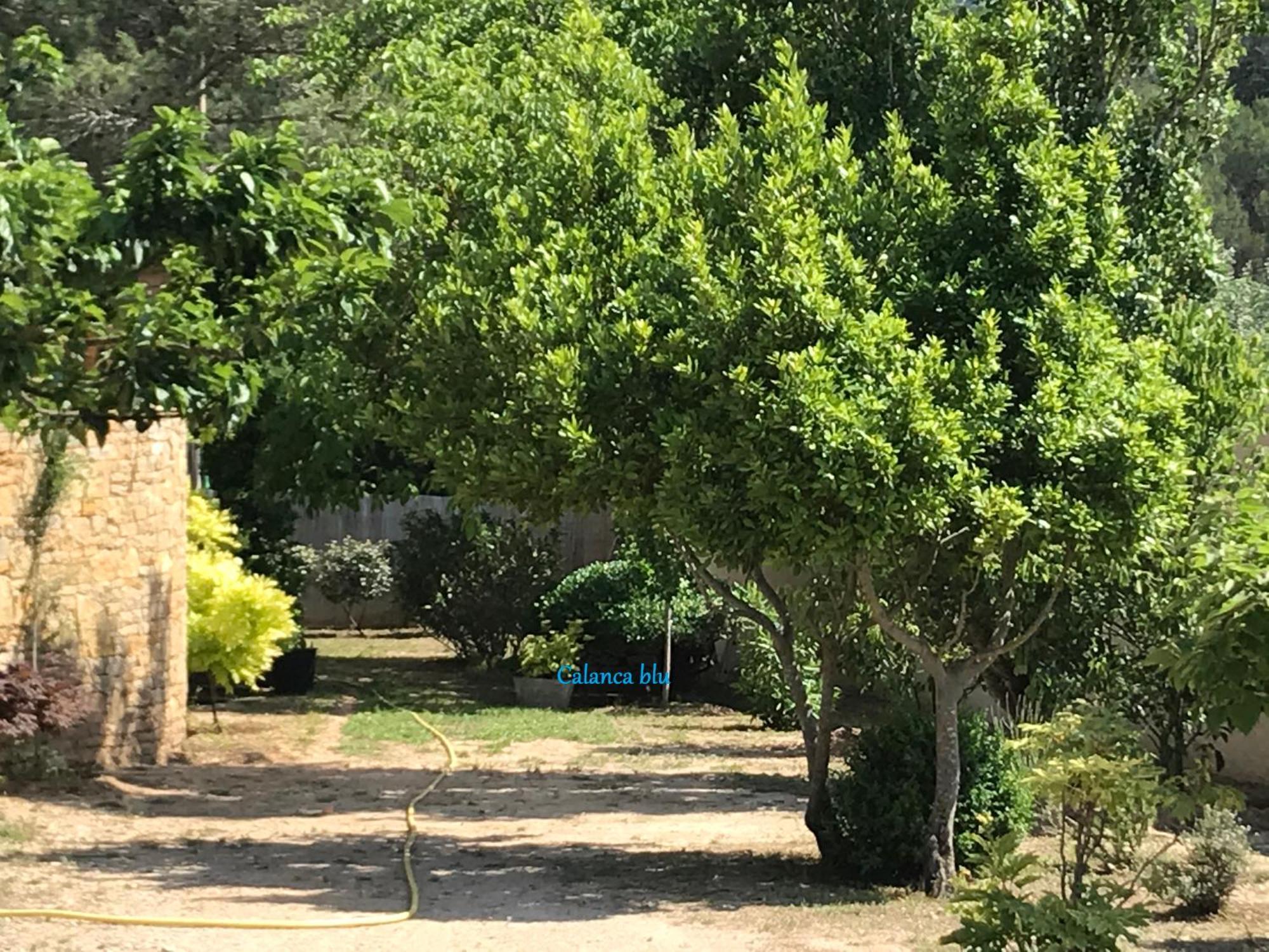Appartement Calanca Blu : Grand Cuges-les-Pins
